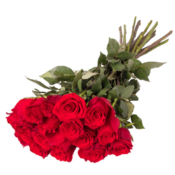 Róże dla Zakochanych Laflora