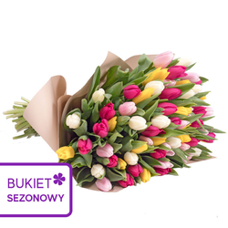 Barwne tulipany