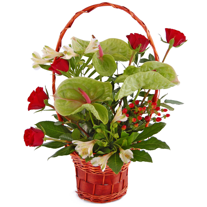 Anturia, róże i alstromerie w koszyku Kwiaty
